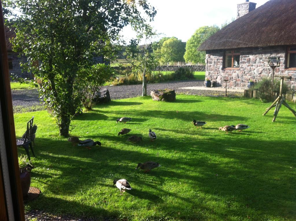 Clan Cottages Oban Zimmer foto